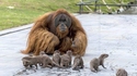 Phil_good se fait des ami(e)s