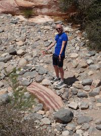Et soudainement : du bacon