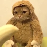 Mylo en soirée cosplay chez phil_good