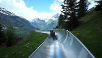 Super descente en luge d'été