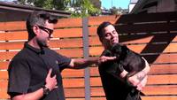Morsure de chien en slowmo