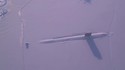 Un sous-marin nucléaire fait surface sous la banquise du cercle Arctique