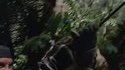 Predator The Musical