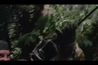 Predator The Musical