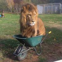 If It Fits I Sits