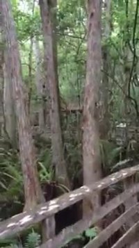 Rencontre flippante lors d'une balade en Floride