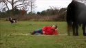 Tu viens me faire un câlin ?