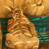 Gros chat, gros câlin
