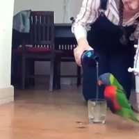 J'ai soif j'ai soif j'ai soif j'ai soif 