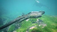 Le Godzilla des fonds marins