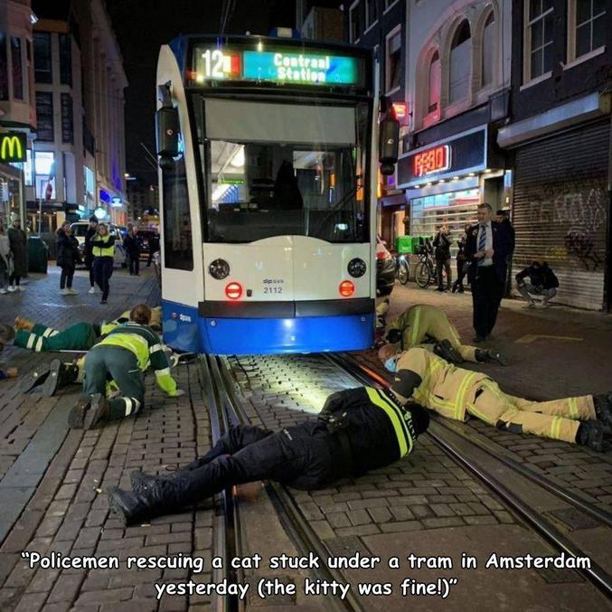 Non, ce n'est pas une grève, seulement des policiers essayant de récupérer un chat coincé sous un tramway à Amsterdam. Le chat va bien.