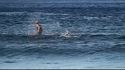 Trolleur de surfeur