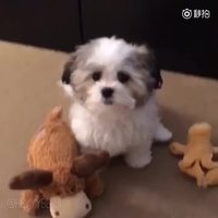 Who is your best friend ?