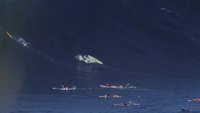 Des surfeurs plongent devant une vague géante à Hawaï sur le spot de Jaws