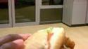 Un Antillais critique le Big Boss de KFC