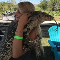 Calin saurien