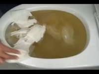 Débouche-toilettes