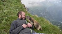 Mon pote la marmotte