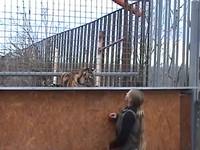Faire mumuse avec un gros chat