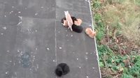 Ici c'est bien