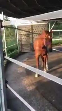 Vous me faites tous chier avec vos conneries