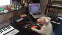 Dj ienche