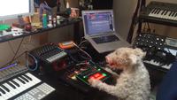 Dj ienche