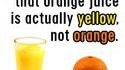 Le jus d'orange
