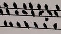 Be different 2