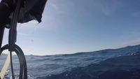 Perdu au milieu de la mer avec un requin aux fesses