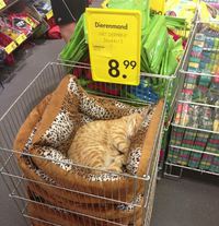 Modèle de démonstration