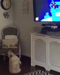 Je suis revenu dans mon salon et...