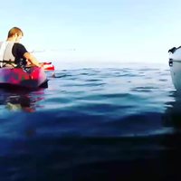 Il attrape un requin pendant une pêche en kayak