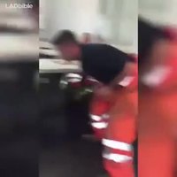 Imitation d'un T-REX