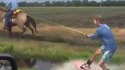 Surfer dans un fossé grâce à un cheval