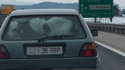 Veau dans le coffre