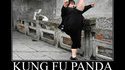 Kung Fu Panda 