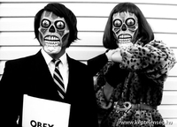 OBEY !