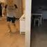 ton chat est il peureux ?