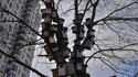 Condos pour oiseaux