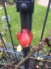 Échec & Mat humains