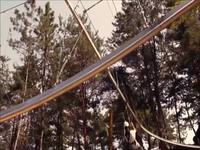 Une aventure en tyrolienne dans la forêt