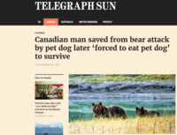 Vie de chien