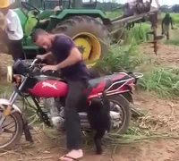 Caprice de bébé singe