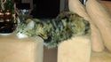 Position confortable