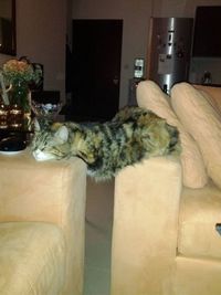 Position confortable