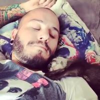 Petit calin de loutre