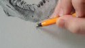 Bic only