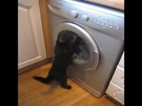 I'll catch it !