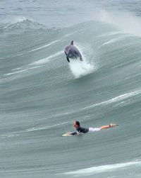 Un surfeur et un dauphin dans une vague